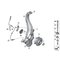 Piasta łożysko koła przód BMW X5 X6 E70 E71 F15 F16 28iX 35iX 30dX 25dX 35dX 40dX 40eX 50iX M50dX - 31226882263