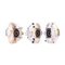 ZACISK HAM. BMW P. 3 2,0-2,3 75-82 PR