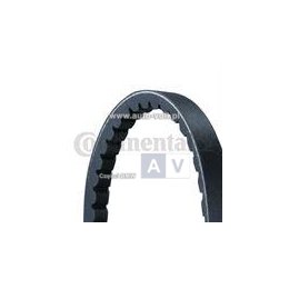 PASEK KLINOWY 13*825