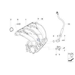 O-Ring - 11617523773