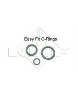 SKRAPLACZ KLIMATYZACJI BMW 5 10-