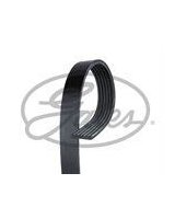 PASEK WIELOROWKOWY 6PK1183