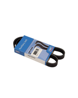 PASEK WIELOROWKOWY 6PK905