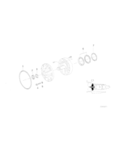 O-Ring - 24311219166