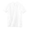 Koszulka polo BMW Fashion, biała, damska S - 80142466138