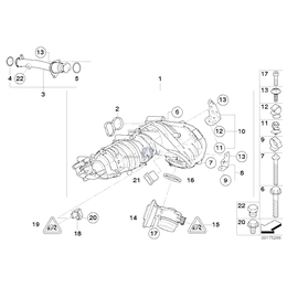 O-Ring - 11617812054