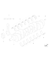 Panewka, fioletowa - 11217526717